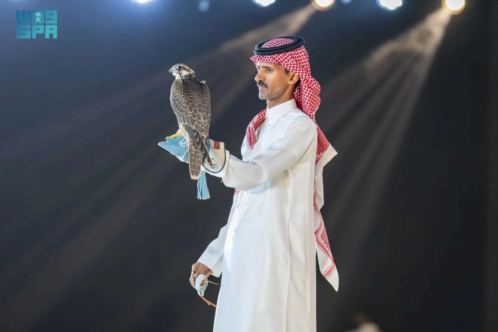 مزاد نادي الصقور السعودي 2024