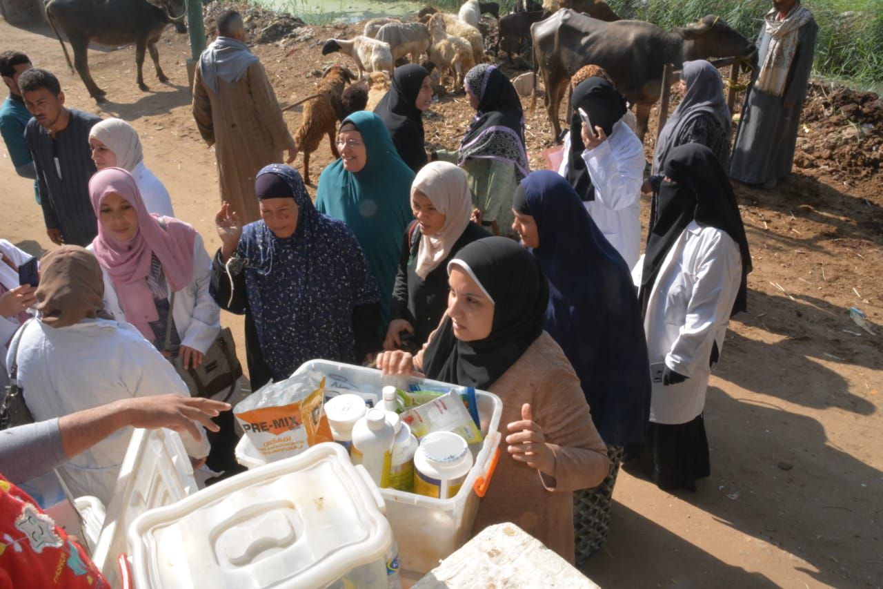 قافلة بيطرية مجانية بقرية الرقة الغربية في العياط