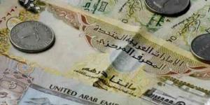 سعر الدرهم الإماراتي مقابل الجنيه المصري اليوم الثلاثاء 12 نوفمبر 2024