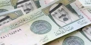 سعر الريال السعودي مقابل الجنيه المصري اليوم الثلاثاء 12 نوفمبر 2024