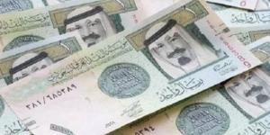 سعر الريال السعودي في مصر اليوم.. الأحد 17-11-2024