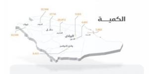 الأمن الغذائي : صرف 261 مليون ريال مستحقات الدفعة السادسة لمزارعي القمح المحلي