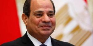 الرئيس السيسي: مصر تتمتع بعلاقات قوية واتفاقيات مع الدول الأفريقية والعربية