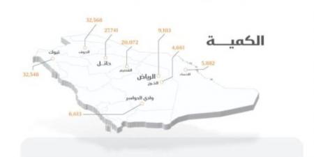 الأمن الغذائي : صرف 261 مليون ريال مستحقات الدفعة السادسة لمزارعي القمح المحلي