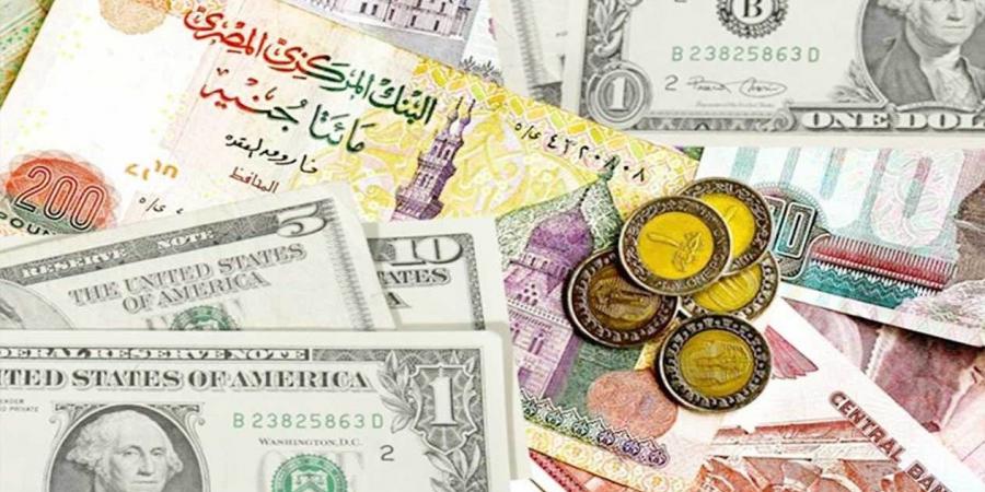 أسعار العملات الأجنبية اليوم السبت 9-11-2024