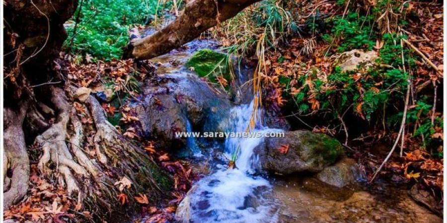 "شلالات راجب في عجلون" .. سحرها الفاتن يأسر الأنظار بجاذبيتها الطبيعية الخلابة -فيديو