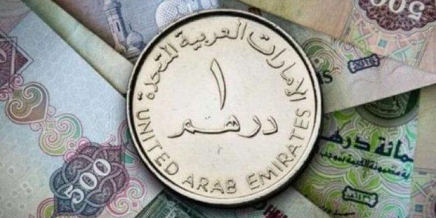 سعر الدرهم الإماراتي مقابل الجنيه المصري اليوم الإثنين 11 نوفمبر 2024