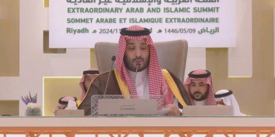 بن سلمان: السعودية تدين وترفض الإبادة الجماعية في غزة