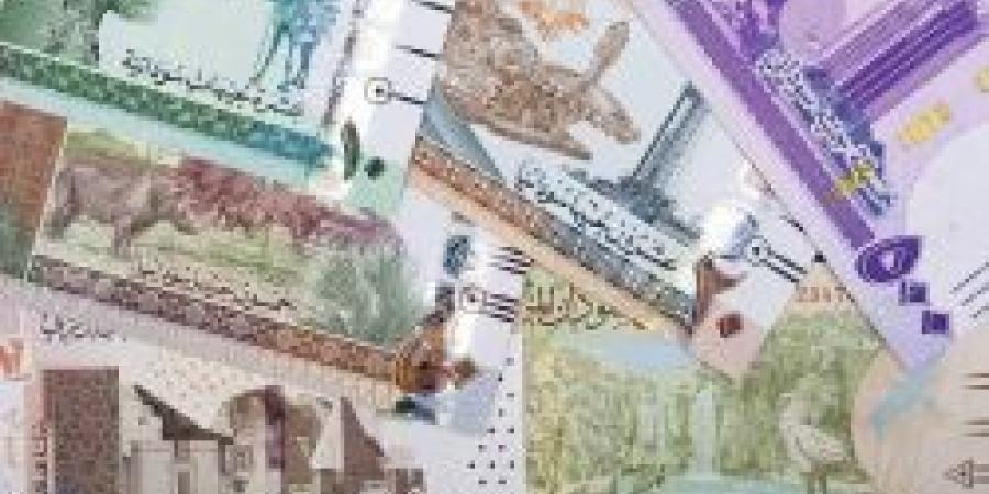 سعر الجنيه السوداني مقابل الريال السعودي اليوم الثلاثاء 12 نوفمبر 2024 آخر تحديث