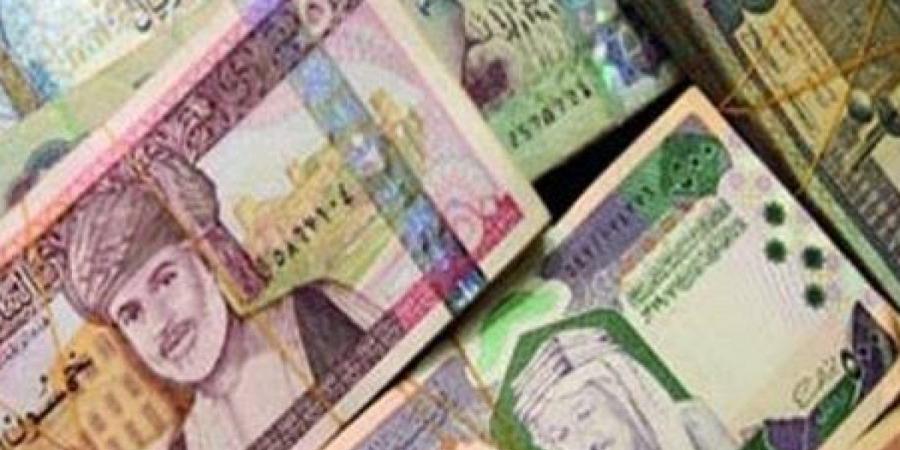 أسعار العملات العربية اليوم الثلاثاء 12-11-2024