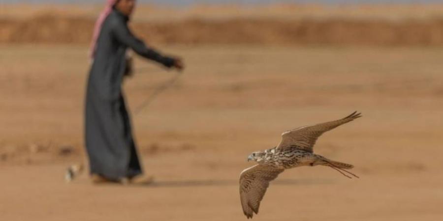 منافسات كأس "نادي الصقور" بحفر الباطن تشهد تنافسًا مثيرًا في يومها الثاني