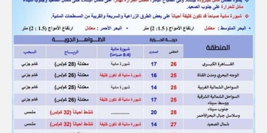 بسبب هذه الظاهرة.. بيان عاجل من الأرصاد بشأن حالة الطقس اليوم الخميس 11 نوفمبر 2024