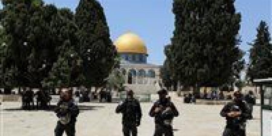 هآرتس: بلدية القدس تواصل هدم المنازل في سلوان وتشريد العائلات الفلسطينية