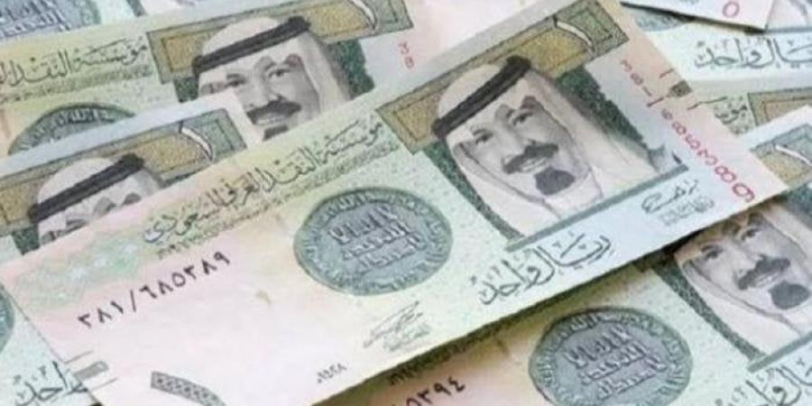 سعر الريال السعودي في مصر اليوم.. الأحد 17-11-2024