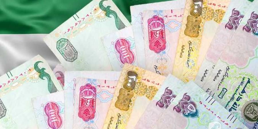 سعر الدرهم الإماراتي اليوم الثلاثاء 19-11-2024