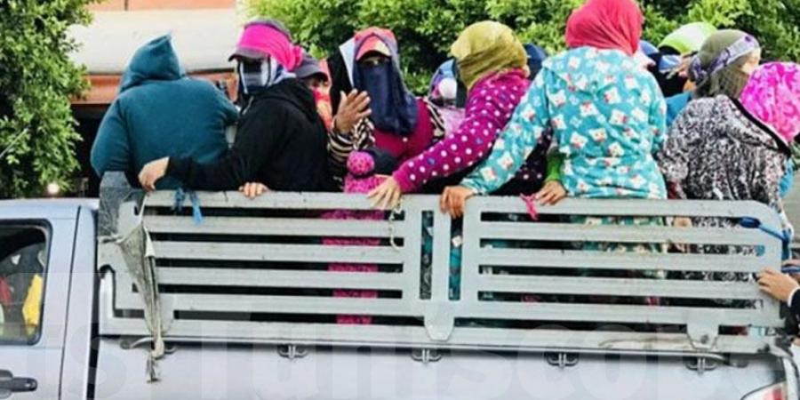 عاجل : إصابة 10 عاملات فلاحة في حادث مروري مروع بالكاف