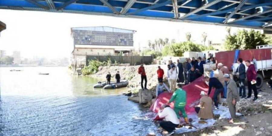 تنمية البحيرات والثروة السمكية: إلقاء مليون وحدة زريعة بلطي نيلي بالمنصورة