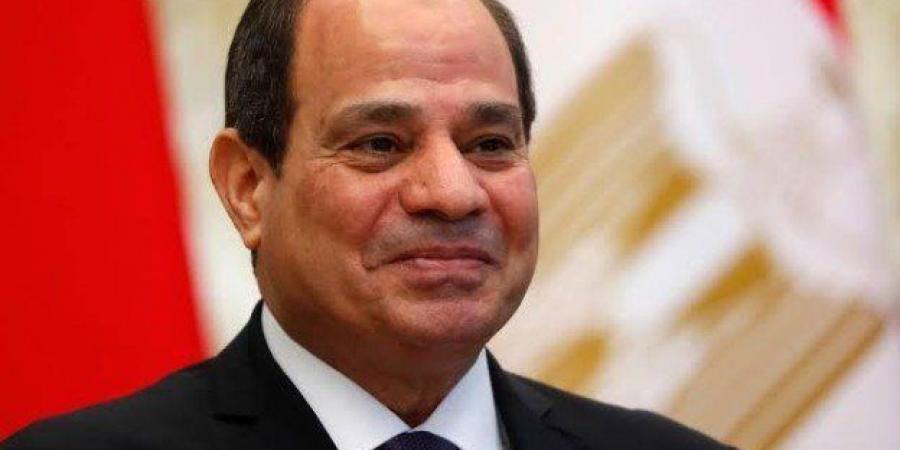 الرئيس السيسي: مصر تتمتع بعلاقات قوية واتفاقيات مع الدول الأفريقية والعربية