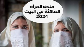 خطوات التقديم في منحة المرأة الماكثة بالبيت 2025 الجزائر عبر الوكالة الوطنية للتشغيل والشروط المطلوبة 