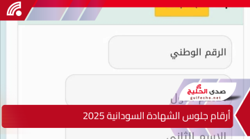 من هنا .. أرقام جلوس الشهادة السودانية 2025 للمغتربين عبر موقع وزارة التربية والتعليم السودانية احصل عليها الآن