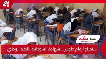 استخرجه الآن.. رابط استخراج أرقام جلوس الشهادة السودانية بالرقم الوطني