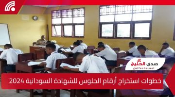 متاح الآن.. كيفية استخراج أرقام جلوس الشهادة السودانية 2024 بالرقم الوطني وموعد الامتحانات