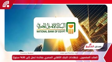 العائد المضمون.. شهادات البنك الأهلي المصري بفائدة تصل إلى 30% سنويًا