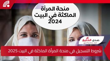 الوكالة الوطنية.. شروط التسجيل في منحة المرأة الماكثة في البيت لعام 2025 وخطوات التقديم