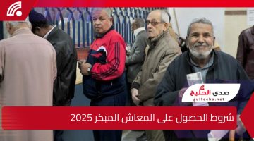 شروط الحصول على المعاش المبكر 2025 وفقاً لقانون التأمينات.. الشروط الجديدة وخطوات التقديم