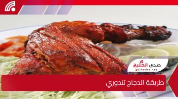 أكلة إختراع.. طريقة عمل الدجاج تندوري بمقدار سهلة وبسيطة جربيها ومش هتندمي