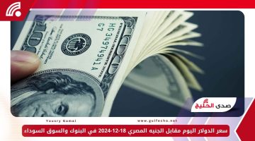 سعر الدولار اليوم مقابل الجنيه المصري 18-12-2024 في البنوك والسوق السوداء