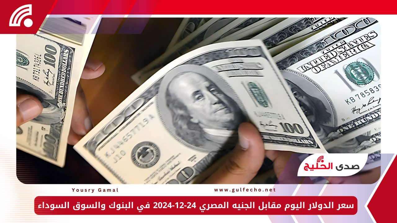 سعر الدولار اليوم مقابل الجنيه المصري 24-12-2024 في البنوك والسوق السوداء