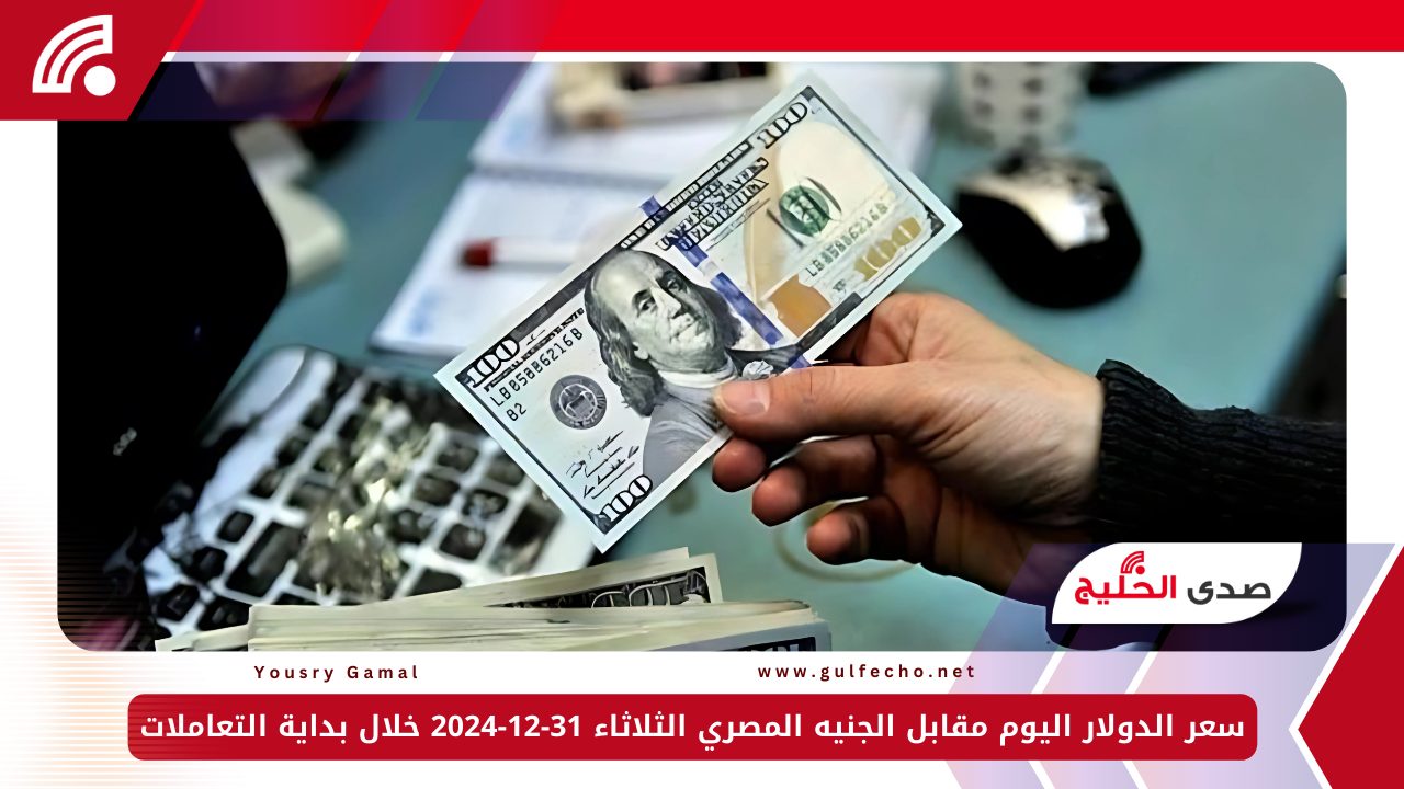 سعر الدولار اليوم مقابل الجنيه المصري الثلاثاء 31-12-2024 خلال بداية التعاملات