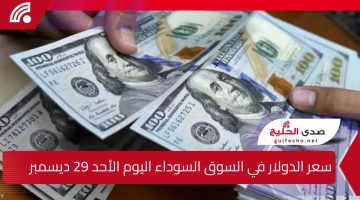 سعر الدولار في السوق السوداء اليوم الأحد 29 ديسمبر 2024 مقابل الجنيه المصري تعرف على أحدث الأسعار والتوقعات