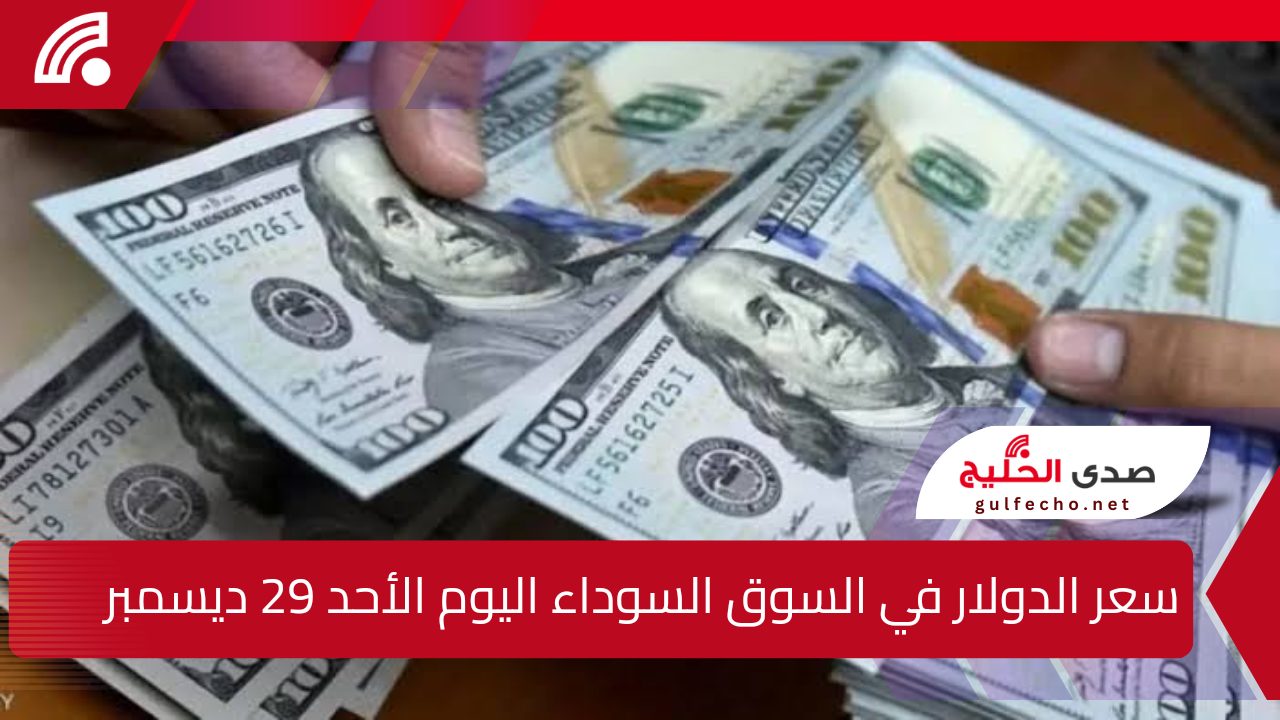 سعر الدولار في السوق السوداء اليوم الأحد 29 ديسمبر 2024 مقابل الجنيه المصري تعرف على أحدث الأسعار والتوقعات