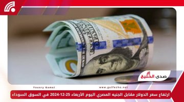 ارتفاع سعر الدولار مقابل الجنيه المصري اليوم الأربعاء 25-12-2024 في السوق السوداء