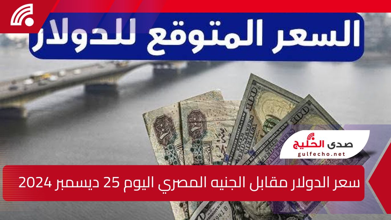 “الاخضر طاير”.. سعر الدولار مقابل الجنيه المصري اليوم 25 ديسمبر 2024 سعر الذهب اليوم