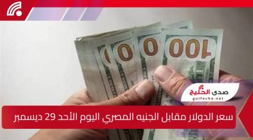 إليك سعر الدولار مقابل الجنيه المصري اليوم الأحد 29 ديسمبر وسعر الذهب أيضاً