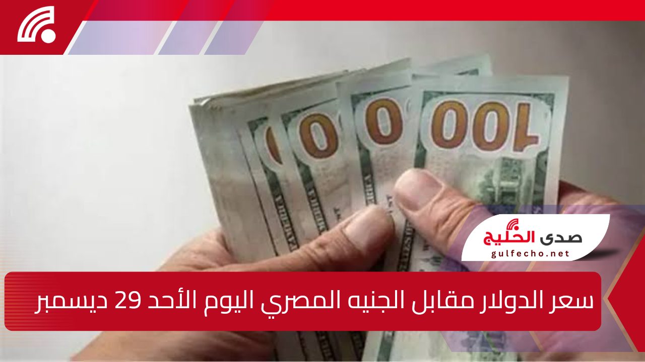 إليك سعر الدولار مقابل الجنيه المصري اليوم الأحد 29 ديسمبر وسعر الذهب أيضاً