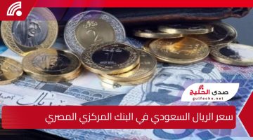 “هل يستمر هذا الاستقرار!”.. تعرف على سعر الريال السعودي مقابل الجنيه المصري اليوم الثلاثاء 17 ديسمبر 2024