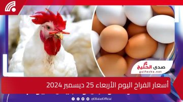 “تغييرات جذرية اليوم”.. أسعار الفراخ والبيض اليوم الأربعاء 25 ديسمبر 2024