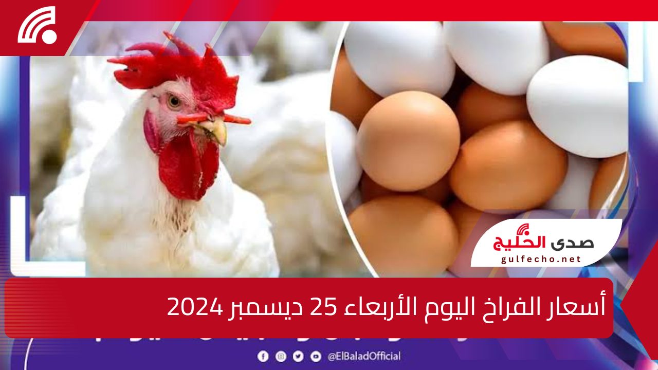 “تغييرات جذرية اليوم”.. أسعار الفراخ والبيض اليوم الأربعاء 25 ديسمبر 2024