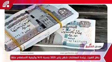 جهز الفيزا.. زيادة المعاشات شهر يناير 2025 بنسبة 15% وكيفية الاستعلام عنها