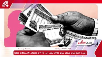 زيادة المعاشات شهر يناير 2025 تصل إلى 15% وخطوات الاستعلام عنها