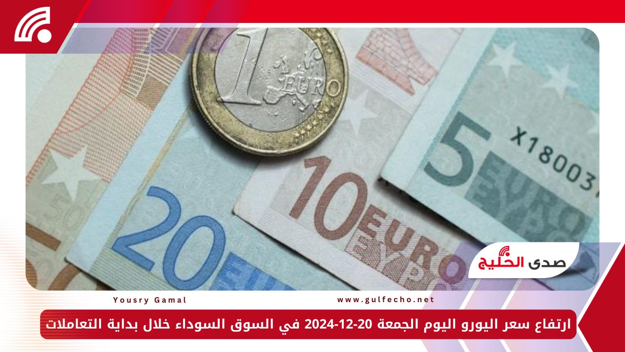 ارتفاع سعر اليورو اليوم الجمعة 20-12-2024 في السوق السوداء خلال بداية التعاملات