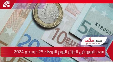 ” الاورو طااار ”  سعر اليورو في الجزائر اليوم الاربعاء 25 ديسمبر 2024 السعر زاد أكتر من 35% ؟!!!