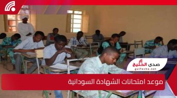 وزارة التربية والتعليم السودانية توضح.. موعد امتحانات الشهادة السودانية وخطوات استخراج أرقام الجلوس