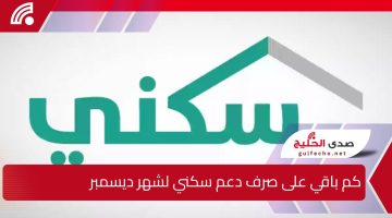 وزارة الإسكان توضح.. كم باقي على صرف دعم سكني لشهر ديسمبر 2024 ؟ وقيمة الدعم بالتفصيل