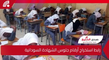 وزارة التربية والتعليم السودانية تتيح رابط استخراج أرقام جلوس الشهادة السودانية عبر الرقم الوطني