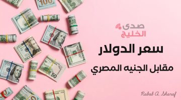 “ثبات يبشر بالاستقرار”.. سعر الدولار مقابل الجنيه المصري اليوم في البنوك المختلفة الأربعاء 18 ديسمبر